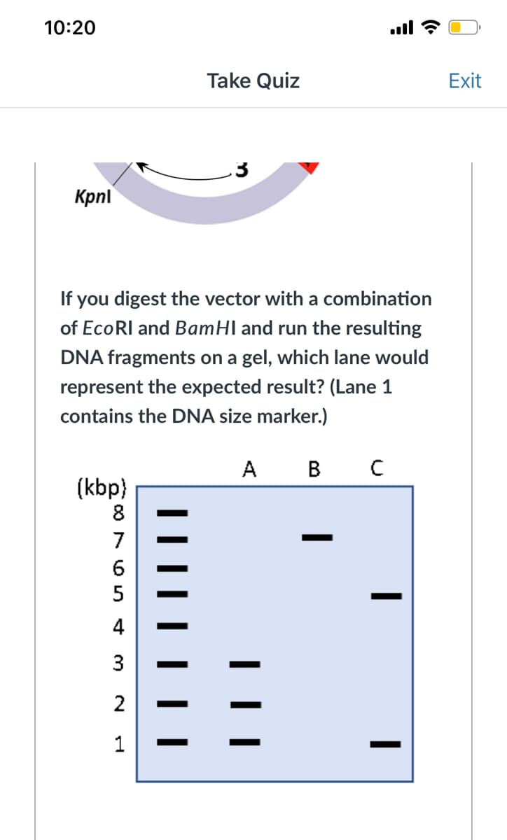 10:20
Take Quiz
Exit
Kpnl
If you digest the vector with a combination
of EcoRI and BamHI and run the resulting
DNA fragments on a gel, which lane would
represent the expected result? (Lane 1
contains the DNA size marker.)
А в с
(kbp}
8
7
5
4
3
2
1
