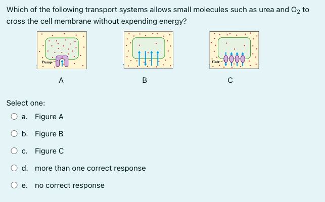 Which of the following transport systems allows small molecules such as urea and O₂ to
cross the cell membrane without expending energy?
Pump
A
B
Select one:
O a. Figure A
O b. Figure B
O c. Figure C
O d. more than one correct response
e. no correct response
Gate
с