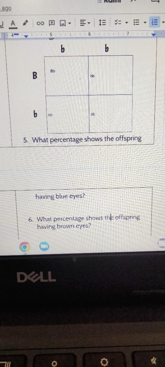 ago
A
4
GOE
B
5
Bb
bb
.
b
Y
DELL
having blue eyes?
6
bb
IE
b
5. What percentage shows the offspring
7.
6. What percentage shows the offspring
having brown eyes?