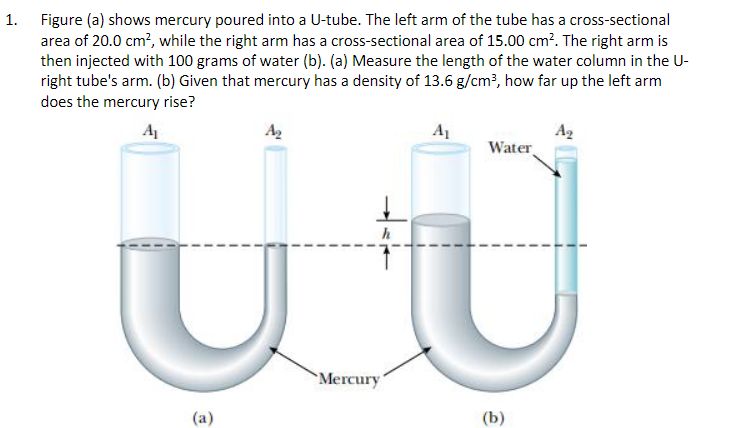 Figure (a) shows mercury poured into a U-tube. The left arm of the tube has a cross-sectional
area of 20.0 cm?, while the right arm has a cross-sectional area of 15.00 cm?. The right arm is
then injected with 100 grams of water (b). (a) Measure the length of the water column in the U-
right tube's arm. (b) Given that mercury has a density of 13.6 g/cm², how far up the left arm
does the mercury rise?
1.
A
A2
A1
Ag
Water
h
Mercury"
(a)
(b)
