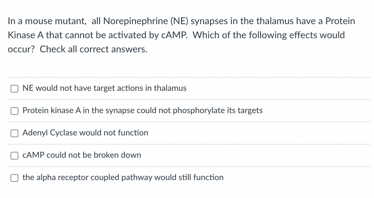 In a mouse mutant, all Norepinephrine (NE) synapses in the thalamus have a Protein
Kinase A that cannot be activated by cAMP. Which of the following effects would
occur? Check all correct answers.
NE would not have target actions in thalamus
Protein kinase A in the synapse could not phosphorylate its targets
Adenyl Cyclase would not function
CAMP could not be broken down
the alpha receptor coupled pathway would still function