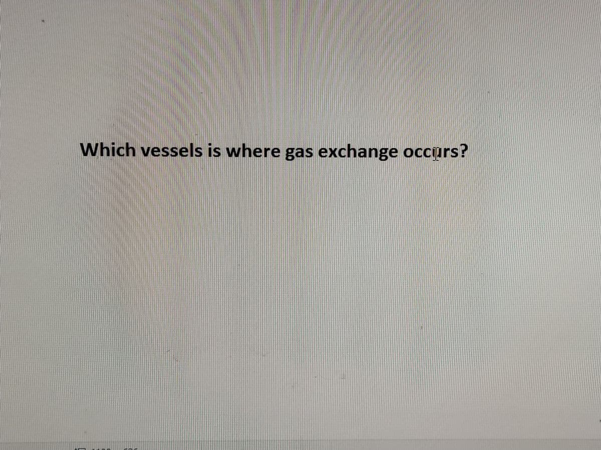 Which vessels is where gas exchange occurs?
