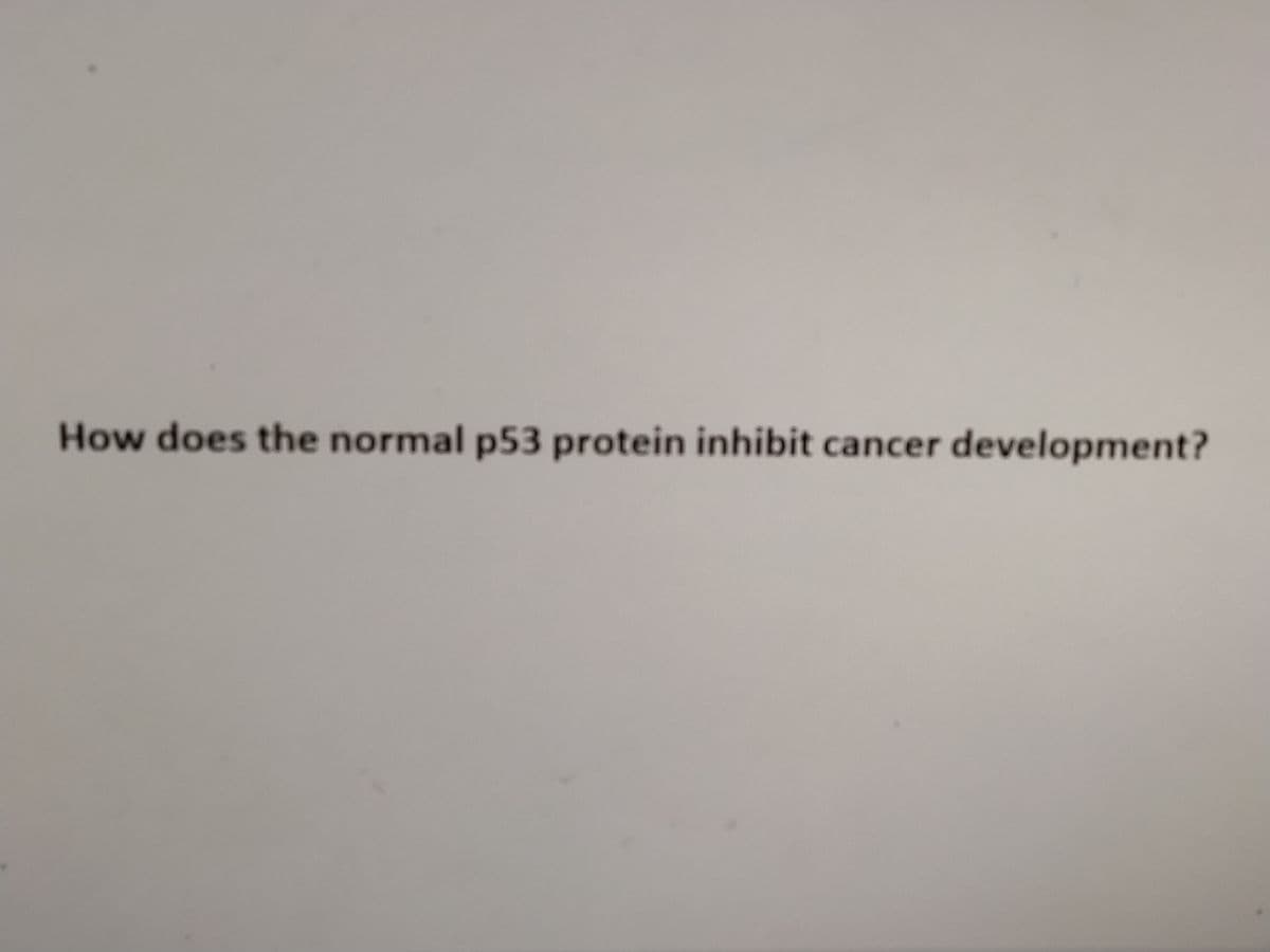 How does the normal p53 protein inhibit cancer development?
