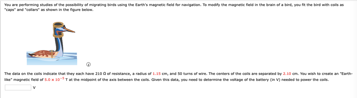 You are performing studies of the possibility of migrating birds using the Earth's magnetic field for navigation. To modify the magnetic field in the brain of a bird, you fit the bird with coils as
"caps" and "collars" as shown in the figure below.
The data on the coils indicate that they each have 210 Q of resistance, a radius of 1.15 cm, and 50 turns of wire. The centers of the coils are separated by 2.10 cm. You wish to create an "Earth-
like" magnetic field of 5.0 x 10-5 T at the midpoint of the axis between the coils. Given this data, you need to determine the voltage of the battery (in V) needed to power the coils.
V
