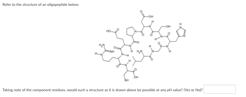 Refer to the structure of an oligopeptide below:
OH
но.
NH
SH
Taking note of the component residues, would such a structure as it is drawn above be possible at any pH value? (Yes or No)?
