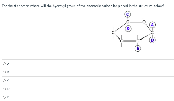 For the Banomer, where will the hydroxyl group of the anomeric carbon be placed in the structure below?
O A
B
OC
OD
O E
