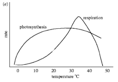 (a)
rate
0
photosynthesis
10
20
30
temperature C
respiration
40
50