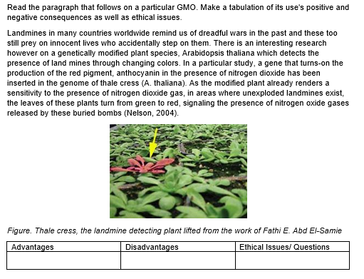 Read the paragraph that follows on a particular GMO. Make a tabulation of its use's positive and
negative consequences as well as ethical issues.
Landmines in many countries worldwide remind us of dreadful wars in the past and these too
still prey on innocent lives who accidentally step on them. There is an interesting research
however on a genetically modified plant species, Arabidopsis thaliana which detects the
presence of land mines through changing colors. In a particular study, a gene that turns-on the
production of the red pigment, anthocyanin in the presence of nitrogen dioxide has been
inserted in the genome of thale cress (A. thaliana). As the modified plant already renders a
sensitivity to the presence of nitrogen dioxide gas, in areas where unexploded landmines exist,
the leaves of these plants turn from green to red, signaling the presence of nitrogen oxide gases
released by these buried bombs (Nelson, 2004).
Figure. Thale cress, the landmine detecting plant lifted from the work of Fathi E. Abd El-Samie
Advantages
Disadvantages
Ethical Issues/ Questions
