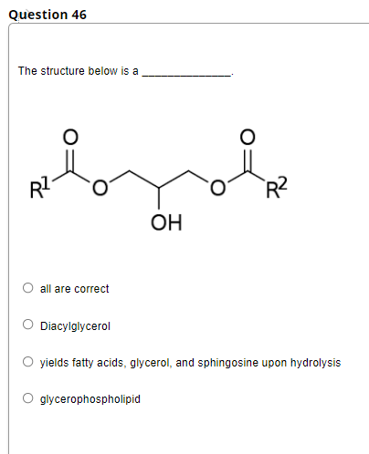 Question 46
The structure below is a
ОН
all are correct
Diacylglycerol
O yields fatty acids, glycerol, and sphingosine upon hydrolysis
O glycerophospholipid

