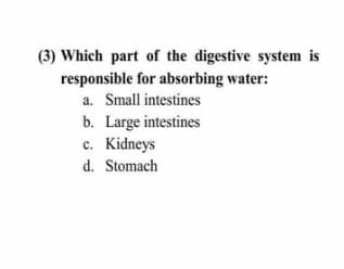 (3) Which part of the digestive system is
responsible for absorbing water:
a. Small intestines
b. Large intestines
c. Kidneys
d. Stomach
