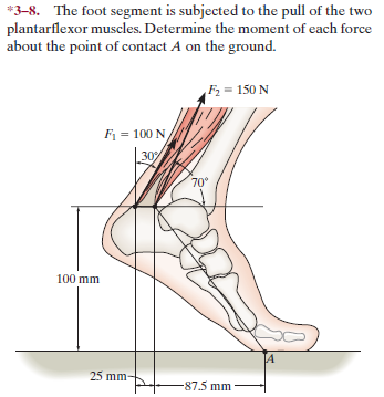 *3-8. The foot segment is subjected to the pull of the two
plantarflexor muscles. Determine the moment of each force
about the point of contact A on the ground.
F = 150 N
F = 100 N
30%
70°
100 mm
25 mm
-87.5 mm
