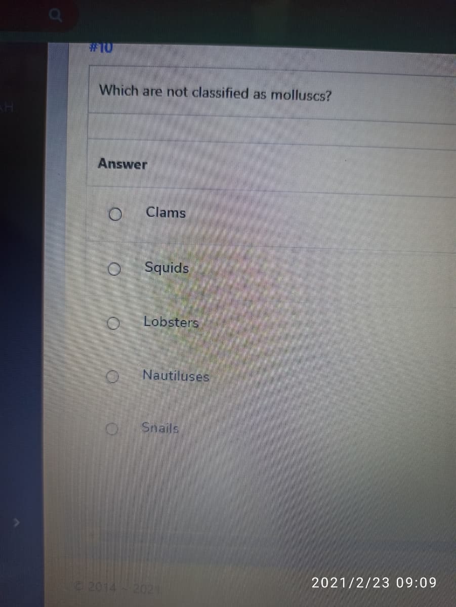 Which are not classified as molluscs?
Answer
Clams
Squids
Lobsters
Nautiluses
Snails
2021/2/23 09:09
2014 2021
