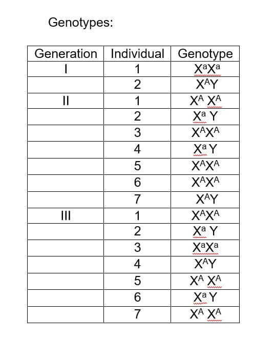 Genotypes:
Generation Individual Genotype
Хаха
XAY
1
XA XA
Ха у
ХАХА
II
1
3
4
Xa Y
ХАХА
6
ХАХА
7
XAY
II
ХАХА
Xa Y
хаха
XÂY
XA XA
Xa Y
www
XA XA
www
1/23456

