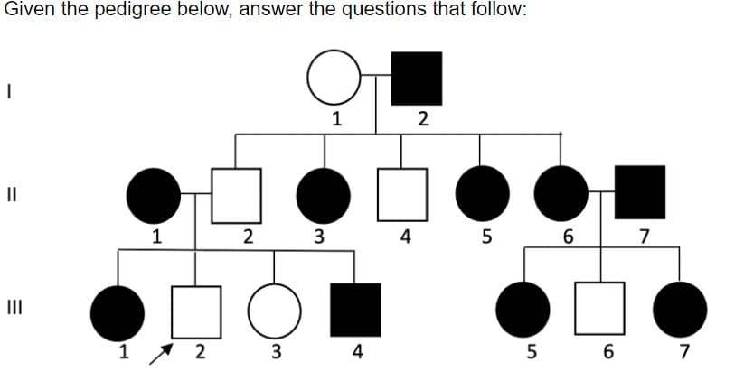 Given the pedigree below, answer the questions that follow:
1
2
II
2 3
4
5
III
1
2
3
4
5
6 7
=
