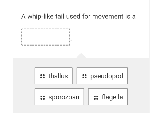 A whip-like tail used for movement is a
:: thallus
: pseudopod
:: sporozoan
: flagella
