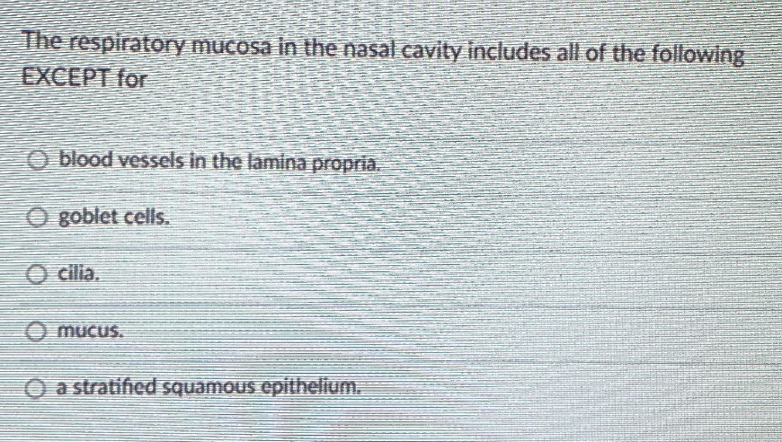 The respiratory mucosa in the nasal cavity includes all of the following
EXCEPT for
O blood vessels in the lamina propria.
O goblet cells.
O cilia.
O mucus.
O a stratifed squamous epithelium.
