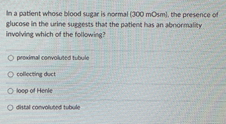 In a patient whose blood sugar is normal (300 mOsm), the presence of
glucose in the urine suggests that the patient has an abnormality
involving which of the following?
O proximal convoluted tubule
O collecting duct
O loop of Henle
O distal convoluted tubule
