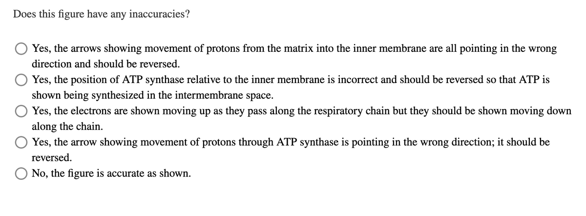 Does this figure have any inaccuracies?
Yes, the arrows showing movement of protons from the matrix into the inner membrane are all pointing in the wrong
direction and should be reversed.
Yes, the position of ATP synthase relative to the inner membrane is incorrect and should be reversed so that ATP is
shown being synthesized in the intermembrane space.
Yes, the electrons are shown moving up as they pass along the respiratory chain but they should be shown moving down
along the chain.
Yes, the arrow showing movement of protons through ATP synthase is pointing in the wrong direction; it should be
reversed.
No, the figure is accurate as shown.
