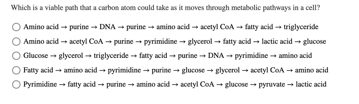 Which is a viable path that a carbon atom could take as it moves through metabolic pathways in a cell?
Amino acid →
purine
→ DNA
purine
→ amino acid → acetyl CoA →→ fatty acid → triglyceride
Amino acid → acetyl CoA → purine → pyrimidine → glycerol → fatty acid → lactic acid → glucose
Glucose → glycerol
→ triglyceride → fatty acid → purine
→ DNA → pyrimidine → amino acid
Fatty acid → amino acid –→
pyrimidine
→ purine
→ glucose → glycerol → acetyl CoA → amino acid
O Pyrimidine
→ fatty acid → purine
→ amino acid → acetyl CoA → glucose → pyruvate → lactic acid
