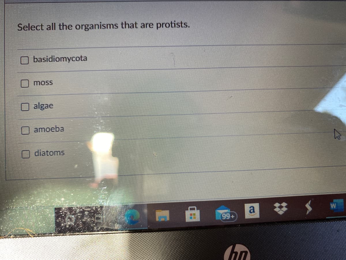 Select all the organisms that are protists.
basidiomycota
moss
algae
O amoeba
O diatoms
a
99+
