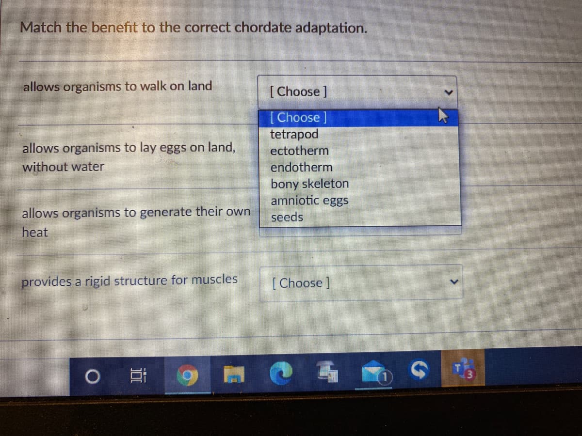 Match the benefit to the correct chordate adaptation.
allows organisms to walk on land
[Choose]
[Choose ]
tetrapod
allows organisms to lay eggs on land,
without water
ectotherm
endotherm
bony skeleton
amniotic eggs
allows organisms to generate their own
heat
seeds
provides a rigid structure for muscles
[Choose]

