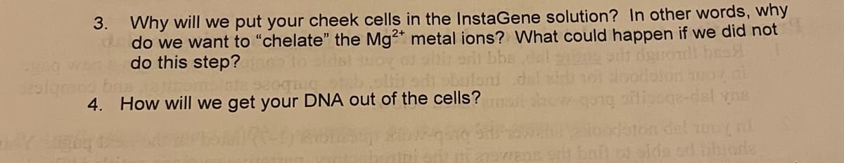 3. Why will we put your cheek cells in the InstaGene solution? In other words, why
do we want to "chelate" the Mg²* metal ions? What could happen if we did not
do this step?
4. How will we get your DNA out of the cells?
daton del uoy
a hal o oids od bhioda
