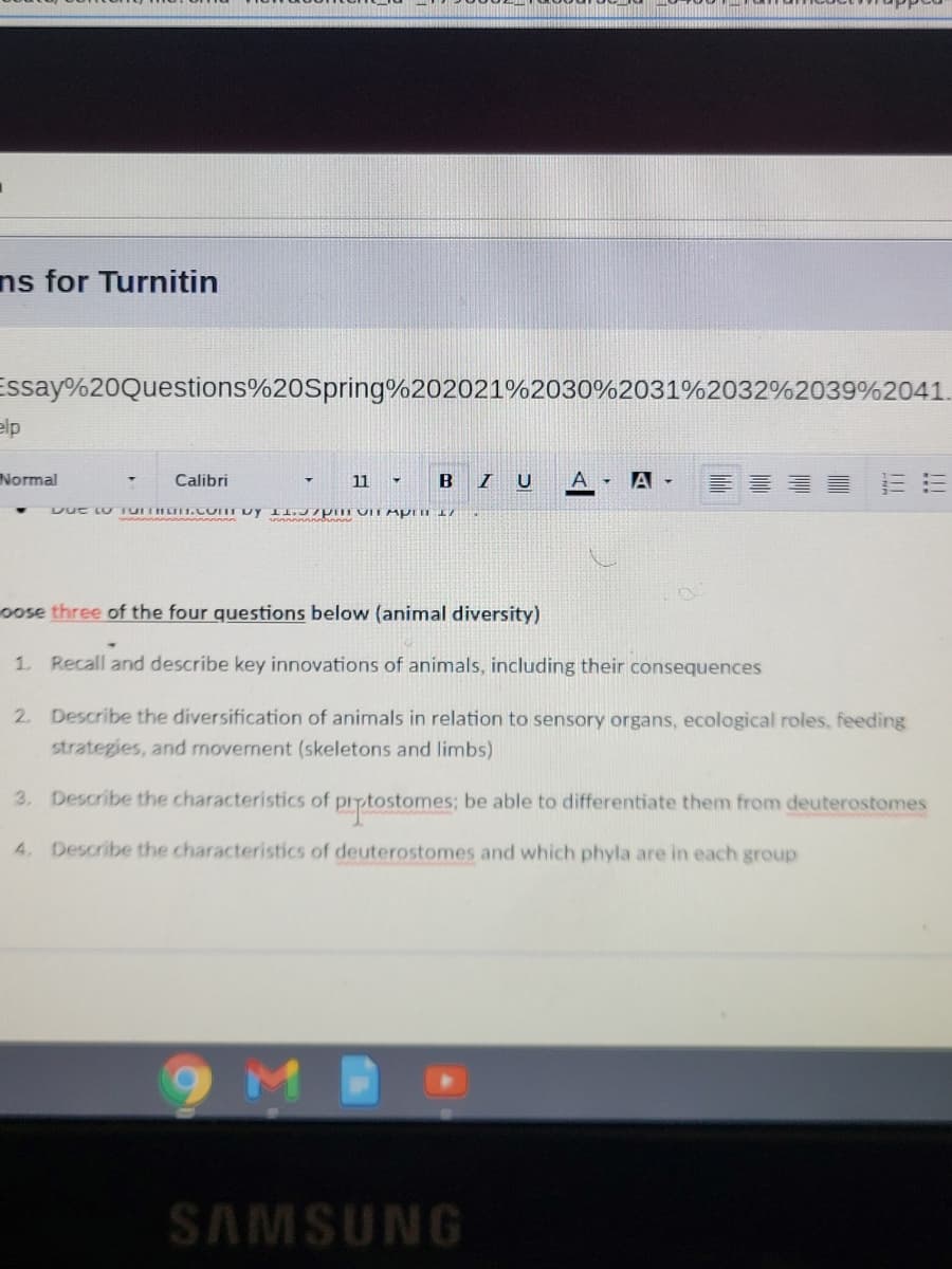 ns for Turnitin
Essay%20Questions%20Spring%202021%2030%2031%2032%2039%2041.
elp
Normal
Calibri
11
I U
A - A -
oose three of the four questions below (animal diversity)
1. Recall and describe key innovations of animals, including their consequences
2 Describe the diversification of animals in relation to sensory organs, ecological roles, feeding
strategies, and movernent (skeletons and limbs)
3. Describe the characteristics of prytostomes; be able to differentiate them from deuterostomes
4. Describe the characteristics of deuterostomes and which phyla are in each group
9M
SAMSUNG
!!

