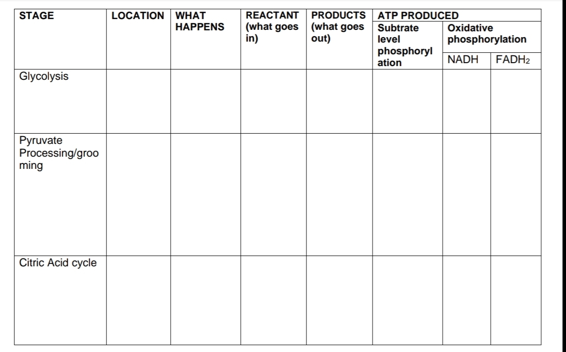 STAGE
LOCATION
WHAT
REACTANT
PRODUCTS ATP PRODUCED
(what goes (what goes
in)
HAPPENS
Subtrate
level
Oxidative
out)
phosphorylation
phosphoryl
ation
NADH
FADH2
Glycolysis
Pyruvate
Processing/groo
ming
Citric Acid cycle
