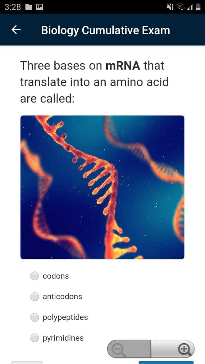 3:28
Biology Cumulative Exam
Three bases on mRNA that
translate into an amino acid
are called:
codons
anticodons
polypeptides
pyrimidines
