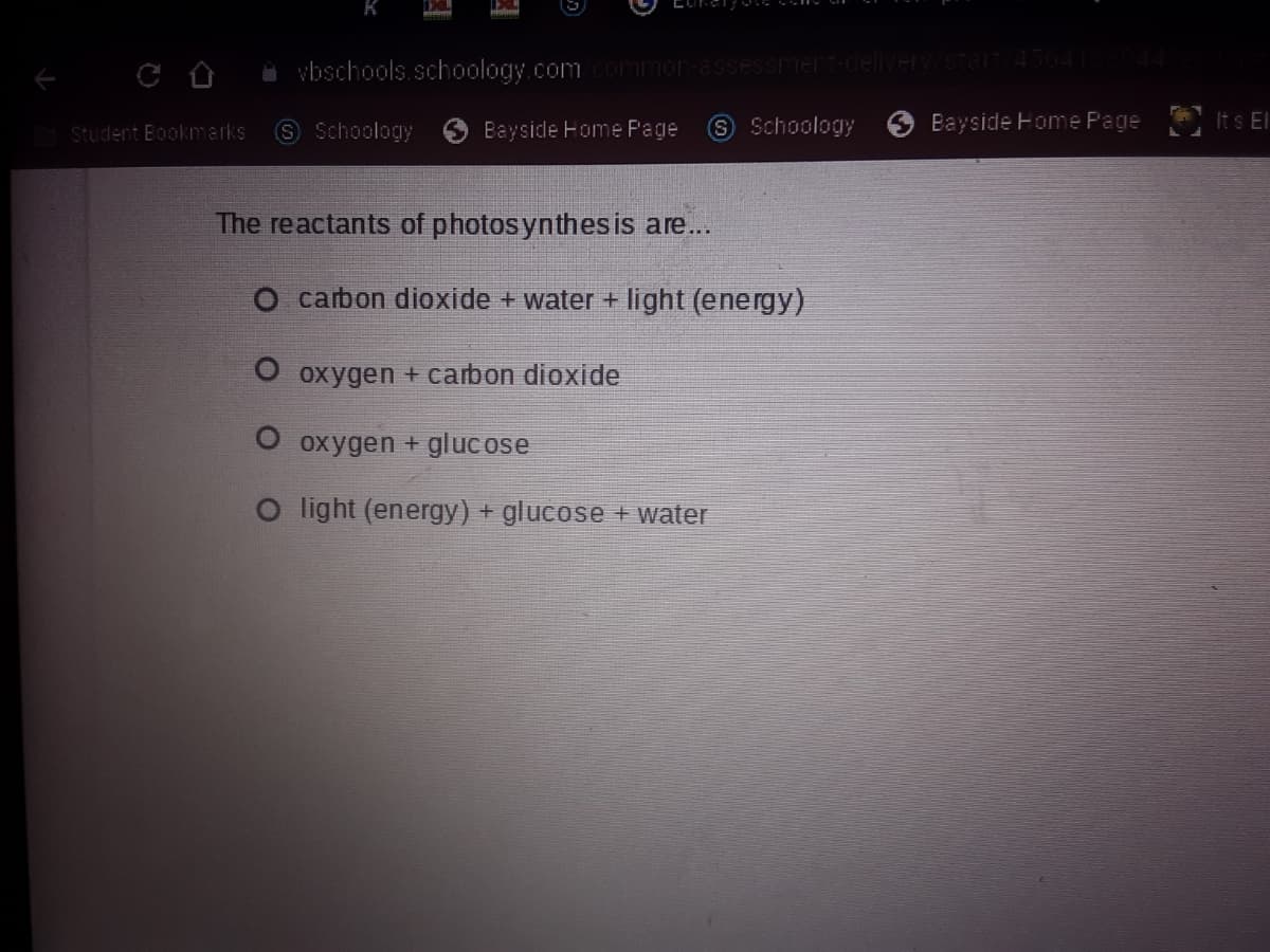 e/45641
O vbschools.schoology.com commor-assessmert-delveY
Student Bookmarks
O Schoology
Bayside Home Page
Schoology
Bayside Home Page
Its El
The reactants of photosynthesis are...
O carbon dioxide + water + light (energy)
O oxygen + carbon dioxide
O oxygen + glucose
O l ight (energy) + glucose + water
