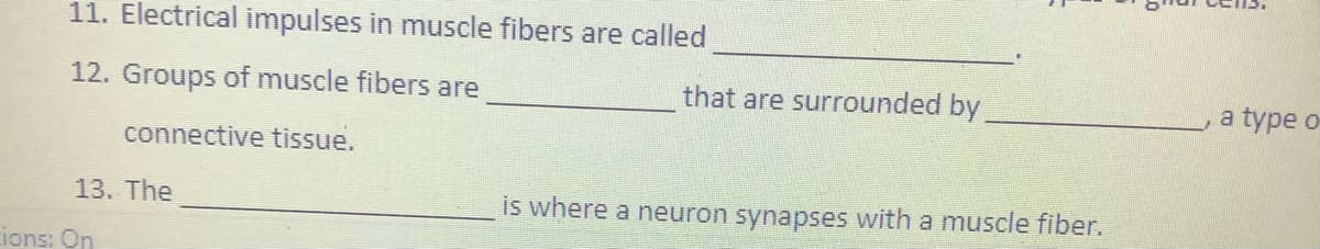 11. Electrical impulses in muscle fibers are called
12. Groups of muscle fibers are
that are surrounded by
a type o
connective tissue.
13. The
is where a neuron synapses with a muscle fiber.
ions: On
