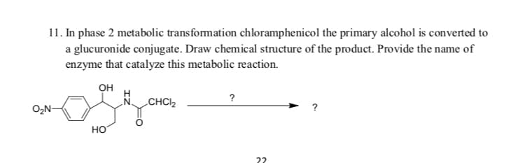 11. In phase 2 metabolic transformation chloramphenicol the primary alcohol is converted to
a glucuronide conjugate. Draw chemical structure of the product. Provide the name of
enzyme that catalyze this metabolic reaction.
OH
CHCI2
O,N-
но
22
