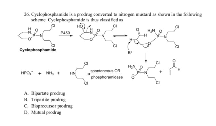 26. Cyclophosphamide is a prodrug converted to nitrogen mustard as shown in the following
scheme. Cyclophosphamide is thus classified as
HÖ)
CI
P450
H2N
P-N
Cyclophosphamide
B:
H2N
H.
HPO, + NH3 +
HN
spontaneous OR
phosphoramidase
A. Bipartate prodrug
B. Tripartite prodrug
C. Bioprecursor prodrug
D. Mutual prodrug
