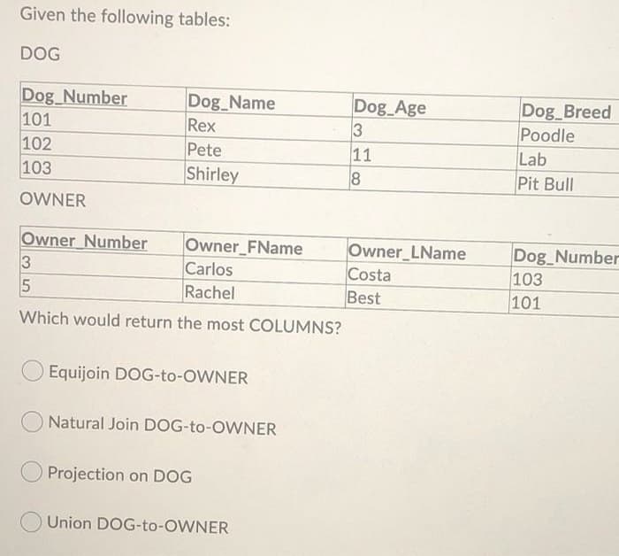 Given the following tables:
DOG
Dog Number
101
102
103
Dog Name
Rex
Pete
Shirley
Dog Breed
Poodle
Lab
Pit Bull
Dog Age
11
OWNER
Owner Number
Owner FName
Carlos
Rachel
Owner LName
Costa
Best
Dog_Number
103
101
5
Which would return the most COLUMNS?
Equijoin DOG-to-OWNER
Natural Join DOG-to-OWNER
Projection on DOG
Union DOG-to-OWNER
