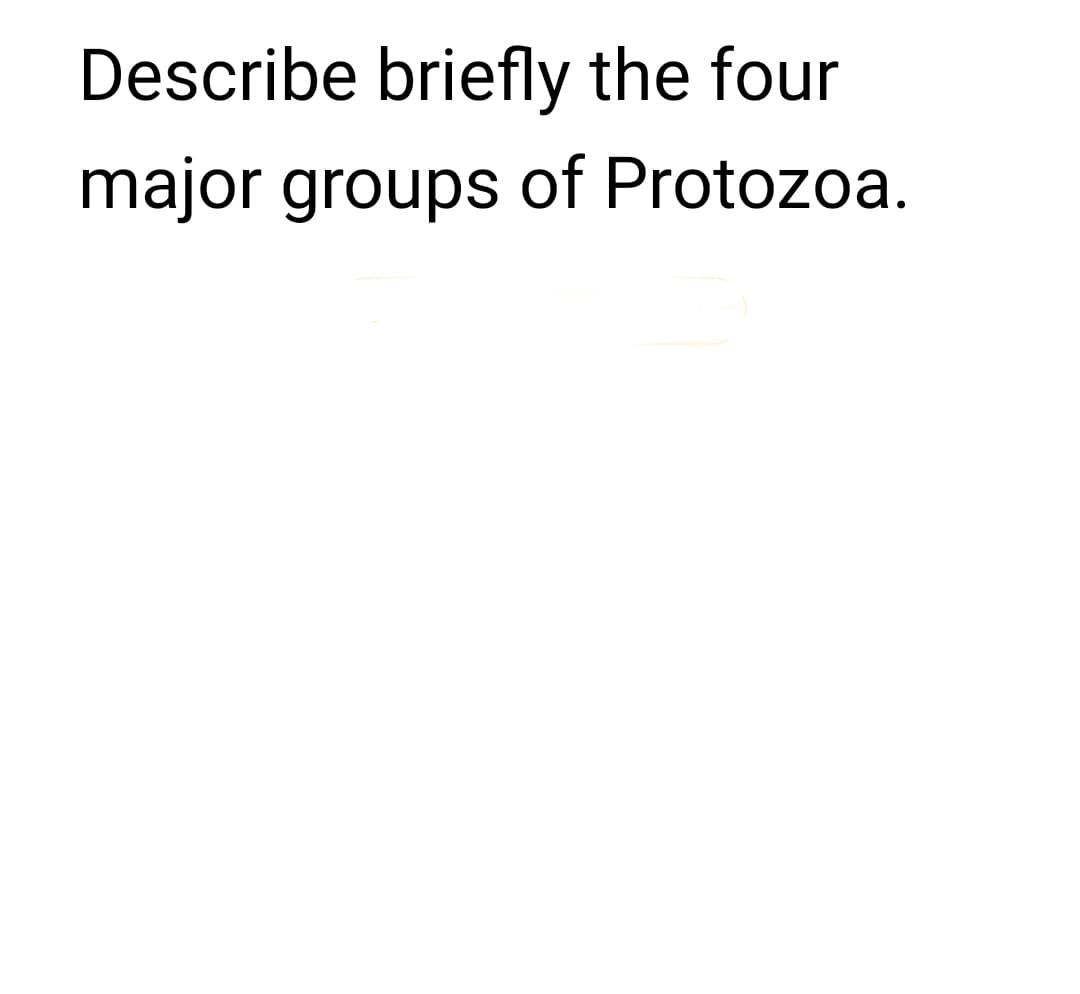 Describe briefly the four
major groups of Protozoa.
