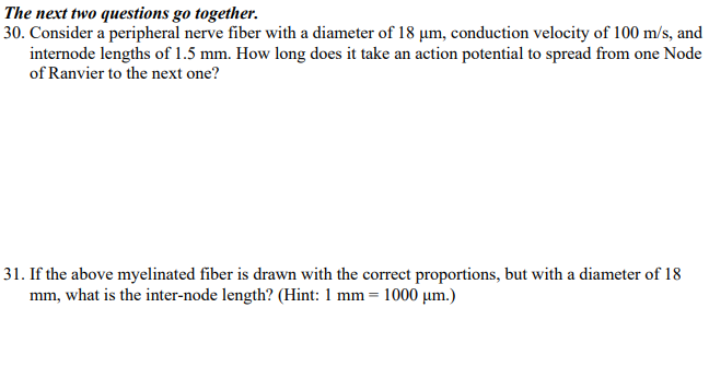 The next two questions go together.
30. Consider a peripheral nerve fiber with a diameter of 18 μm, conduction velocity of 100 m/s, and
internode lengths of 1.5 mm. How long does it take an action potential to spread from one Node
of Ranvier to the next one?
31. If the above myelinated fiber is drawn with the correct proportions, but with a diameter of 18
mm, what is the inter-node length? (Hint: 1 mm = 1000 µm.)