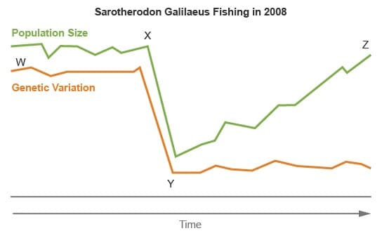 Sarotherodon Galilaeus Fishing in 2008
Population Size
Genetic Variation
Y
Time
