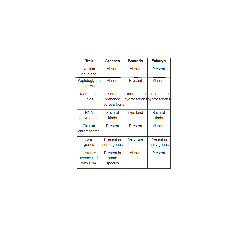 Trait
Archaea
Bacteria
Eukarya
Nuclear
Absent
Absent
Present
envelope
Peptidoglycan
in cell walls
Absent
Present
Absent
Membrane
Some
Unbranched Unbranched
branched hydrocarbons hydrocarbons
hydrocarbons
lipids
RNA
Several
One kind
Several
polymerase
kinds
kinds
Circular
Present
Present
Absent
chromosome
Introns in
Present in
Very rare
Present in
genes
some genes
many genes
Histones
Present in
Absent
Present
associated
some
with DNA
species
