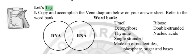 Let's Try
I. Copy and accomplish the Venn diagram below on your answer sheet. Refer to the
word bank.
Word bank:
Ribose
Double-stranded
Uracil
Deoxyribose
R Thymine
Single-stranded
Made up of nucleotides,
phosphate, sugar and bases
Nucleic acids
DNA
RNA
