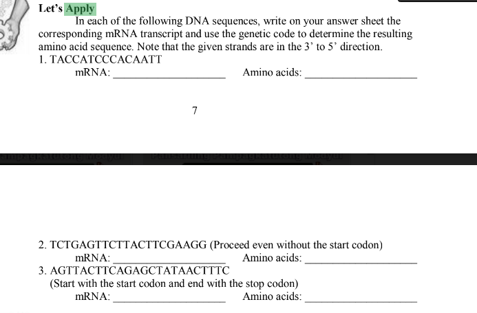 Let's Apply
In each of the following DNA sequences, write on your answer sheet the
corresponding mRNA transcript and use the genetic code to determine the resulting
amino acid sequence. Note that the given strands are in the 3' to 5' direction.
1. ТАССАТСССАСААТT
mRNA:
Amino acids:
7
16edwie
2. TCTGAGTTCTTACTTCGAAGG (Proceed even without the start codon)
MRNA:
Amino acids:
3. AGTTACTTCAGAGCTATAAСТТТC
(Start with the start codon and end with the stop codon)
Amino acids:
mRNA:
