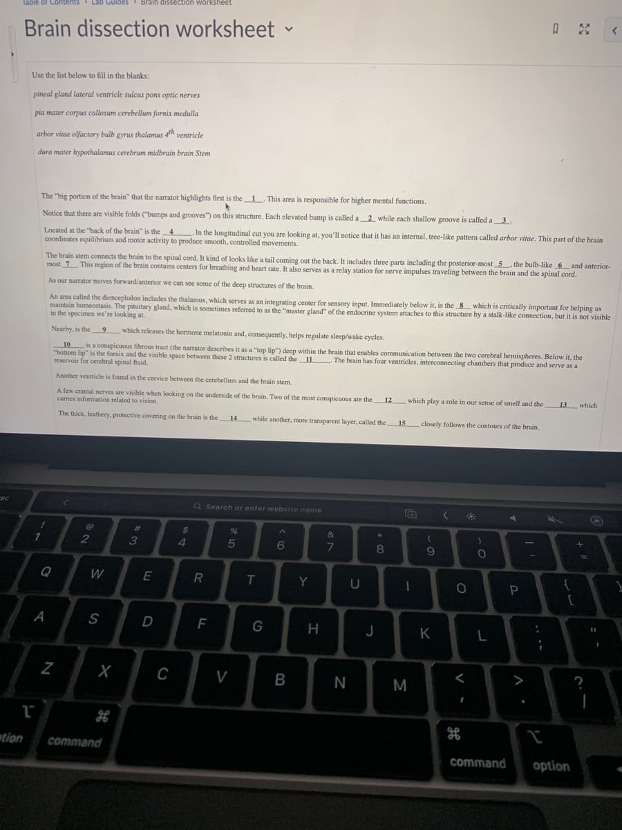 Lab Guides Braih dissection worksheet
Brain dissection worksheet -
Use the list below to fill in the blanks:
pineal gland lateral ventricle sulcus pons optic nerves
pia mater corpus callosum cerebellum fornix medulla
arbor vitae olfactory bulb gyrus thalamus 4th ventricle
dura mater hypothalamus cerebrum midbrain brain Stem
The "big portion of the brain" that the narrator highlights first is the 1. This area is responsible for higher mental functions.
Notice that there are visible folds ("bumps and grooves") on this structure. Each elevated bump is called a 2 while each shallow groove is called a3
Located at the "back of the brain" is the 4
coordinates equilibrium and motor activity to produce smooth, controlled movements.
In the longitudinal cut you are looking at, you'll notice that it has an internal, tree-like pattern called arbor vitae. This part of the brain
The brain stem connects the brain to the spinal cord. It kind of looks like a tail coming out the back. It includes three parts including the posterior-most _5 , the bulb-like 6
most 7 This region of the brain contains centers for breathing and heart rate. It also serves as a relay station for nerve impulses traveling between the brain and the spinal cord.
and anterior-
As our narrator moves forward/anterior we can see some of the deep structures of the brain.
An area called the diencephalon includes the thalamus, which serves as an integrating center for sensory input. Immediately below it, is the 8 which is critically important for helping us
maintain homeostasis. The pituitary gland, which is sometimes referred to as the "master gland" of the endocrine system attaches to this structure by a stalk-like connection, but it is not visible
in the specimen we're looking at.
Nearby, is the
9
which releases the hormone melatonin and, consequently, helps regulate sleep/wake cycles.
10
"bottom lip" is the fornix and the visible space between these 2 structures is called the 11
reservoir for cerebral spinal fluid.
is a conspicuous fibrous tract (the narrator describes it as a "top lip") deep within the brain that enables communication between the two cerebral hemispheres. Below it, the
The brain has four ventricles, interconnecting chambers that produce and serve as a
Another ventricle is found in the crevice between the cerebellum and the brain stem.
A few cranial nerves are visible when looking on the underside of the brain. Two of the most conspicuous are the
carries information related to vision.
12
which play a role in our sense of smell and the
13
which
The thick, leathery, protective covering on the brain is the
14 while another, more transparent layer, called the
15
closely follows the contours of the brain.
SC
Q Search or enter website name
%23
&
1
4
5
6
08
Q
W
E
R
T.
Y
S
F
G
J
K
C
V
B
N
M
tion
command
command
option
N
