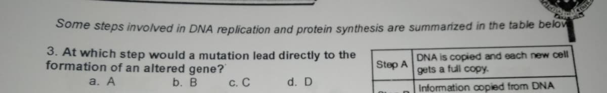 Some steps involved in DNA replication and protein synthesis are summarized in the table belov
3. At which step would a mutation lead directly to the
formation of an altered gene?
DNA is copied and each new cell
gets a full copy.
Step A
a. А
b. В
С. С
d. D
Information oopied from DNA
