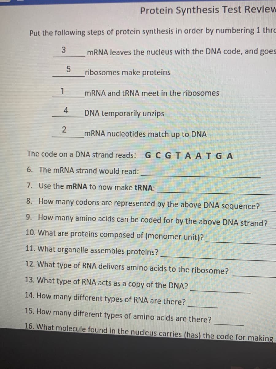 Protein Synthesis Test Review
Put the following steps of protein synthesis in order by numbering 1 thro
3.
MRNA leaves the nucleus with the DNA code, and goes
ribosomes make proteins
1
MRNA and tRNA meet in the ribosomes
4
DNA temporarily unzips
2
MRNA nucleotides match up to DNA
The code on a DNA strand reads: G C GTAATGA
6. The mRNA strand would read:
7. Use the MRNA to now make tRNA:
8. How many codons are represented by the above DNA sequence?
9. How many amino acids can be coded for by the above DNA strand?
10. What are proteins composed of (monomer unit)?
11. What organelle assembles proteins?
12. What type of RNA delivers amino acids to the ribosome?
13. What type of RNA acts as a copy of the DNA?
14. How many different types of RNA are there?
15. How many different types of amino acids are there?
16. What molecule found in the nucleus carries (has) the code for making
