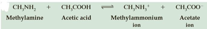 CH,NH,
CH,COOH
CH,NH,+
CH,COO-
+
Methylamine
Acetic acid
Methylammonium
Acetate
ion
ion
