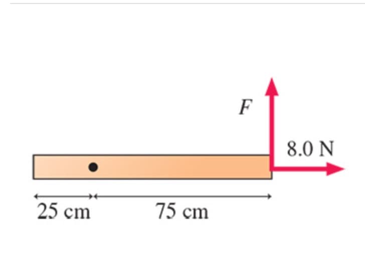 F
8.0 N
25 cm
75 cm
