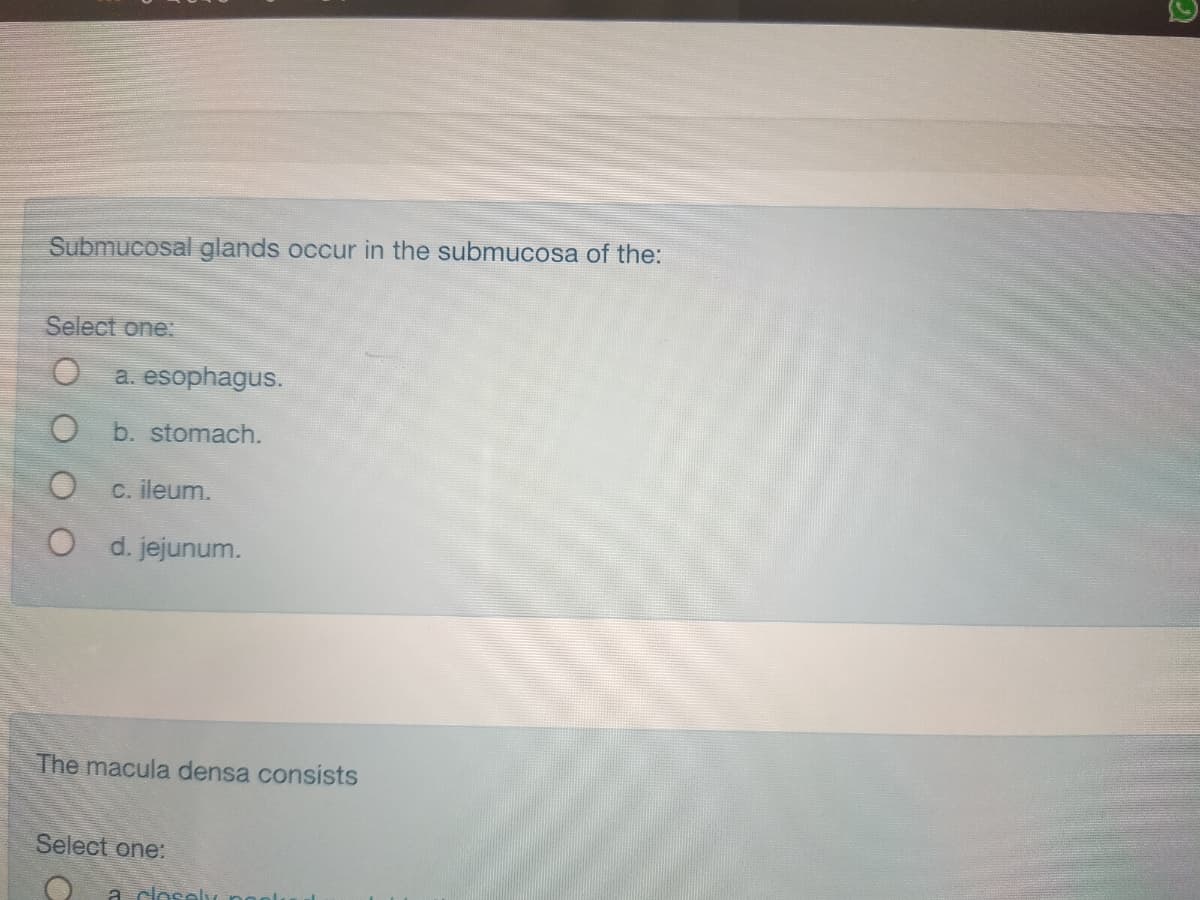 Submucosal glands occur in the submucosa of the:
Select one:
a. esophagus.
O b. stomach.
C. ileum.
d. jejunum.
The macula densa consists
Select one:
a closely
