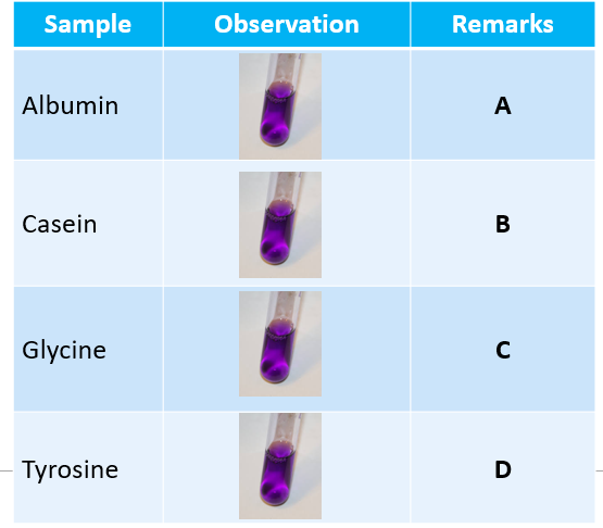 Sample
Observation
Remarks
Albumin
A
Casein
В
Glycine
C
Tyrosine
D
