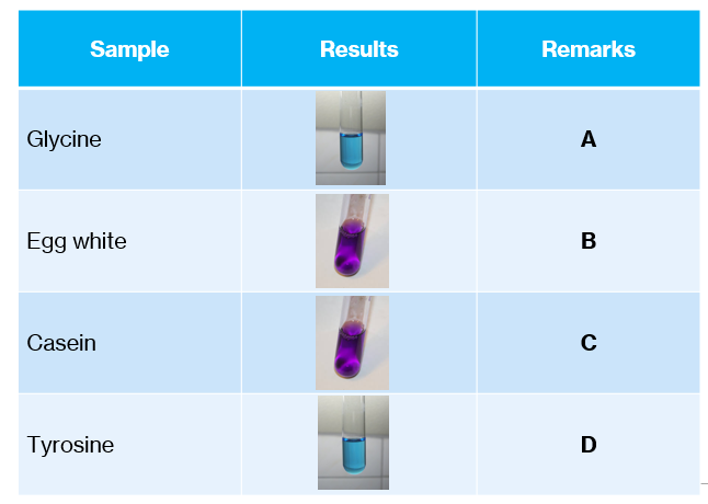 Sample
Results
Remarks
Glycine
A
Egg white
В
Casein
Tyrosine
D
