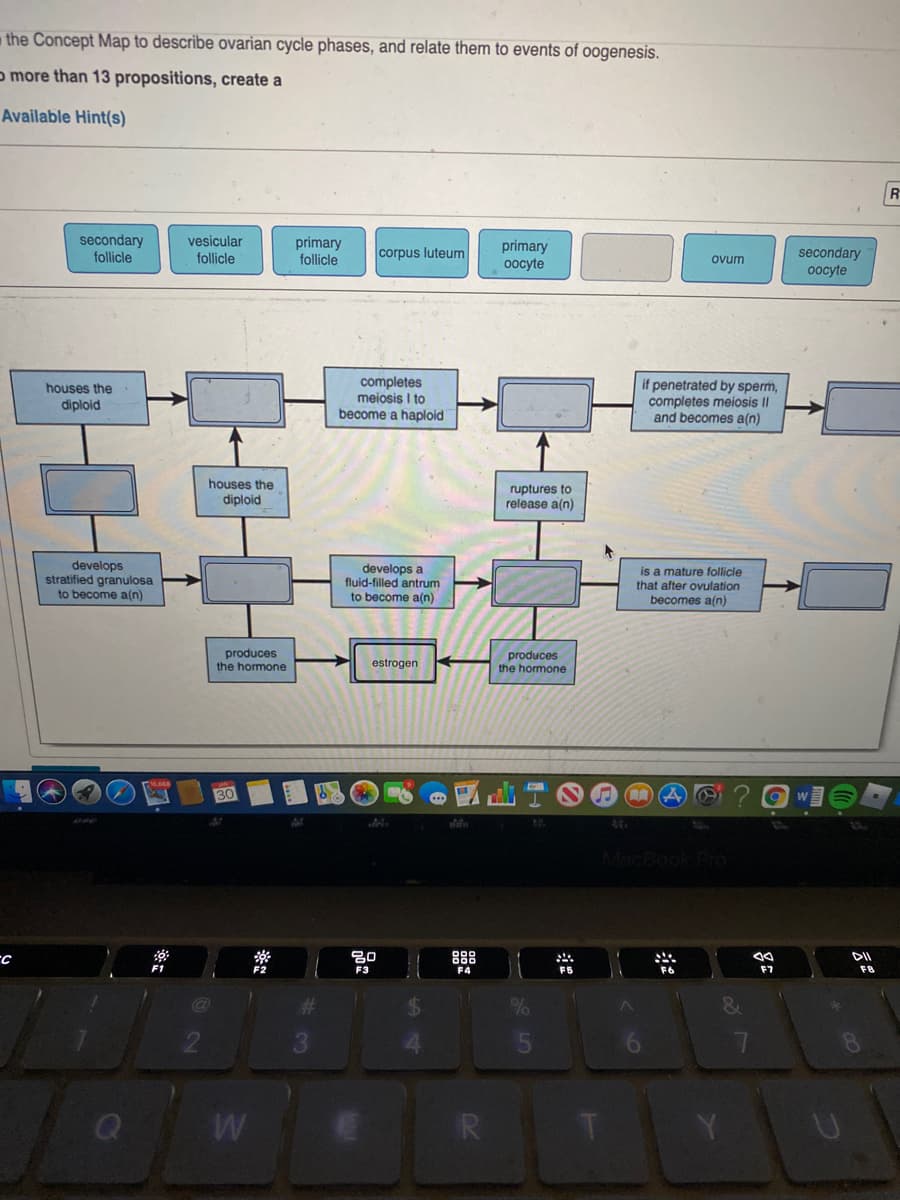 the Concept Map to describe ovarian cycle phases, and relate them to events of oogenesis.
o more than 13 propositions, create a
Available Hint(s)
secondary
follicle
vesicular
follicle
primary
follicle
primary
0ocyte
corpus luteum
secondary
0ocyte
ovum
completes
meiosis I to
become a haploid
if penetrated by sperm,
completes meiosis ||
and becomes a(n)
houses the
diploid
houses the
diploid
ruptures to
release a(n)
develops
stratified granulosa
to become a(n)
develops a
fluid-filled antrum
to become a(n)
is a mature follicle
that after ovulation
becomes a(n)
produces
the hormone
produces
the hormone
estrogen
30
Pro
88
F1
F2
F3
F4
FB
F7
F8
%23
R
