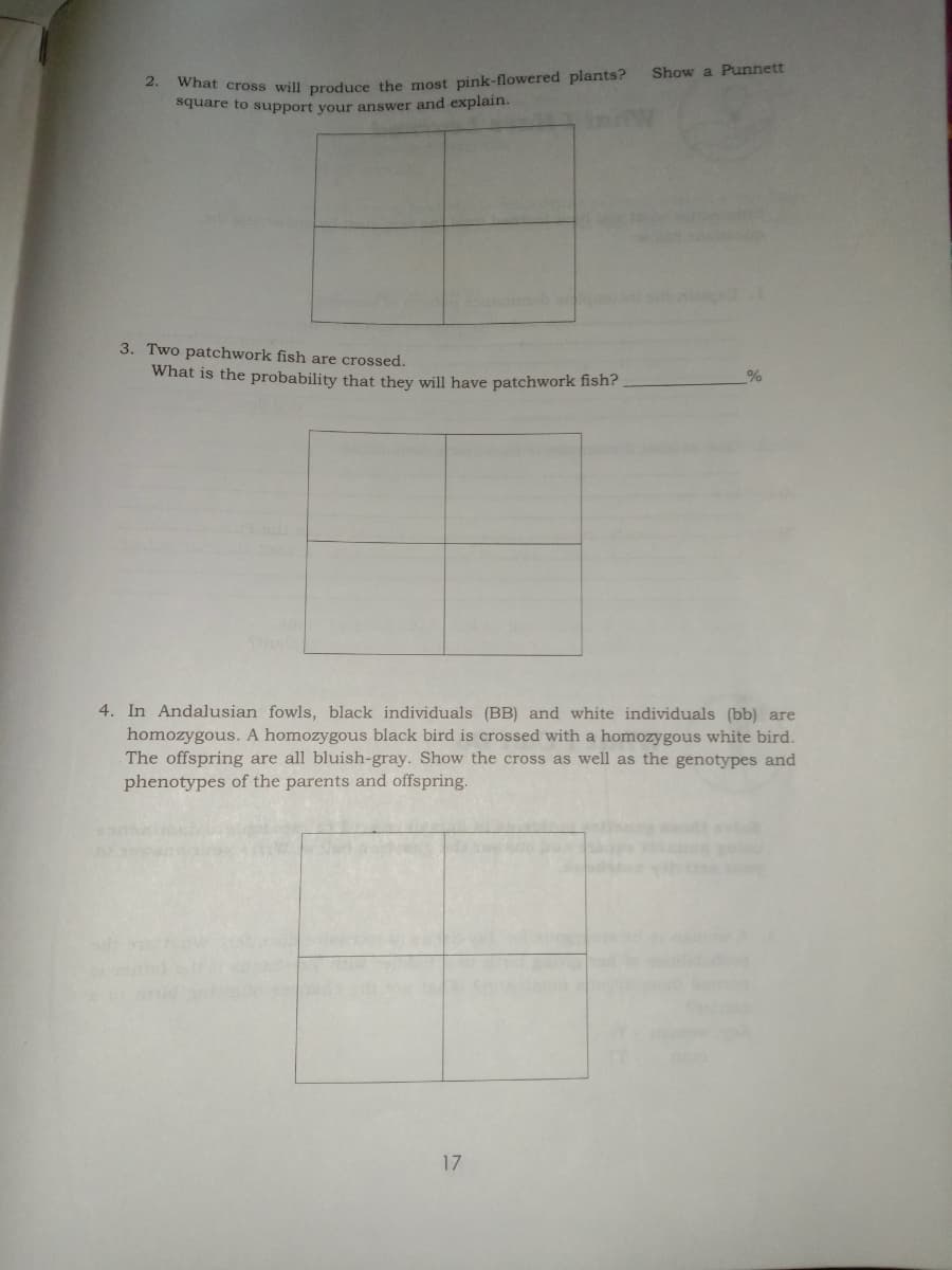 Show a Punnett
What cross will produce the most pink-flowered plants?
square to support your answer and explain.
2.
3. Two patchwork fish are crossed.
What is the probability that they will have patchwork fish?
4. In Andalusian fowls, black individuals (BB) and white individuals (bb) are
homozygous. A homozygous black bird is crossed with a homozygous white bird.
The offspring are all bluish-gray. Show the cross as well as the genotypes and
phenotypes of the parents and offspring.
s al
17
